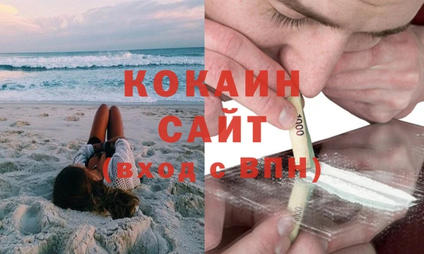 ПСИЛОЦИБИНОВЫЕ ГРИБЫ Армянск