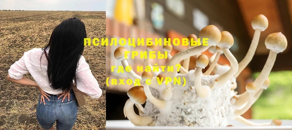 ПСИЛОЦИБИНОВЫЕ ГРИБЫ Армянск